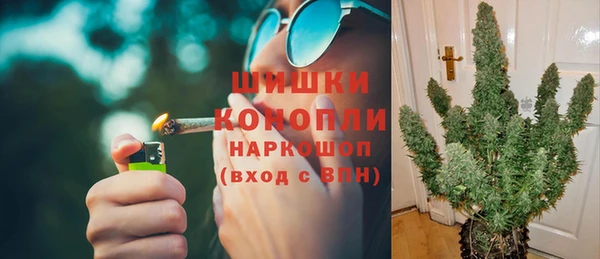 шишки Белоозёрский