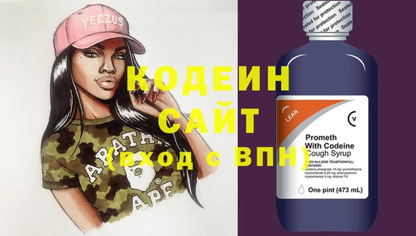 шишки Белоозёрский