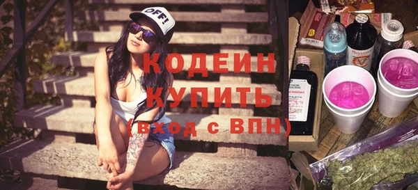 шишки Белоозёрский