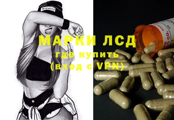 шишки Белоозёрский