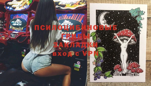 шишки Белоозёрский