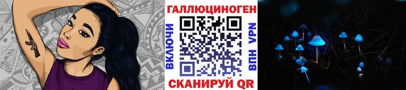 купить наркотик  Игра  Галлюциногенные грибы Cubensis 